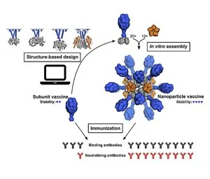Vaccine Production