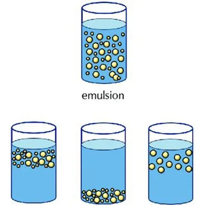 Continuous Bioprocessing for Vaccine Manufacturing