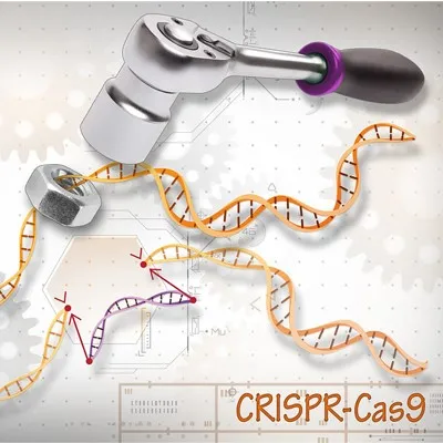 CRISPR Technology in Vaccine Research