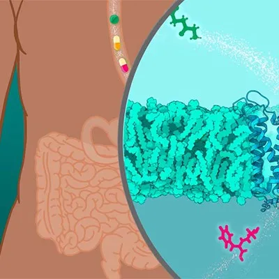 Decoding Immune Responses with Systems Biology