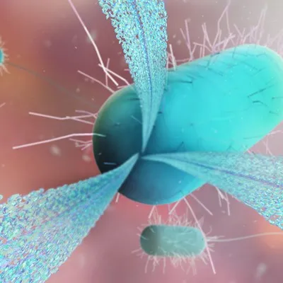 mRNA Beyond Infectious Diseases