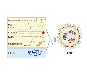 mRNA Vaccines