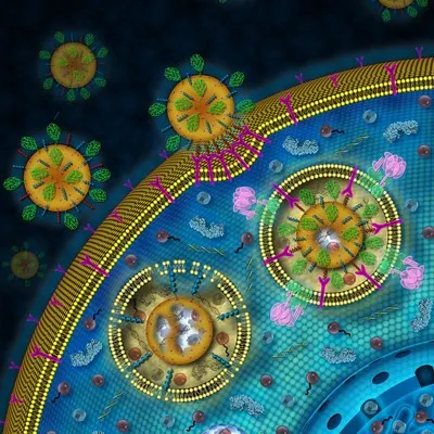 Nanotechnology in Vaccine Delivery