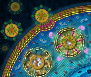  Nanotechnology in Vaccine Delivery