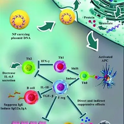 Next-Generation Adjuvants