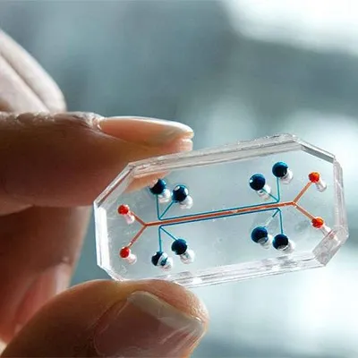 Drug testing methodologies