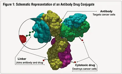 ADC therapies
