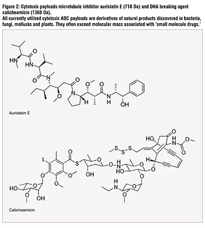 drug interactions