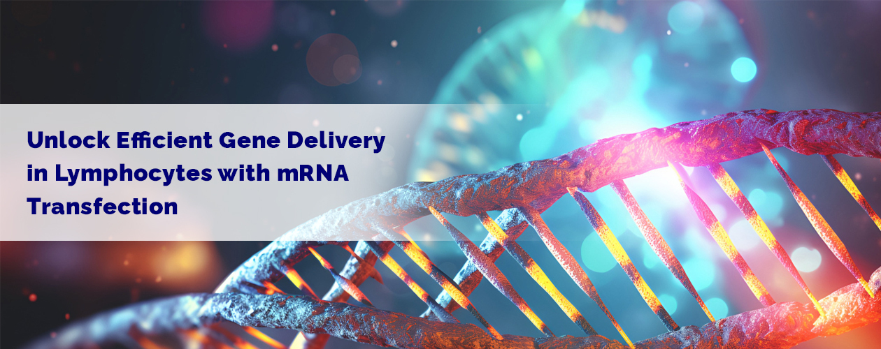 sartorius-efficient-transfection-of-lymphocytes-technical-note-banner