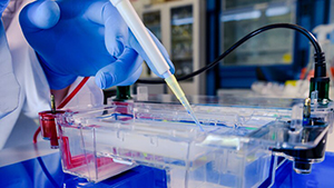  Understanding Capillary Electrophoresis