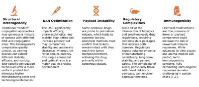 Clinical development phases for antibody-drug conjugates explained in a flow diagram