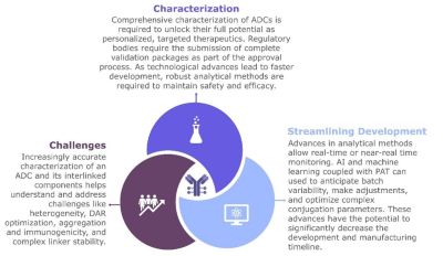 Bioassay data dashboard measuring ADC cytotoxicity and binding
