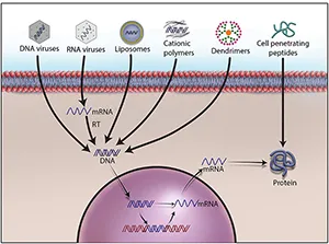 Cell and Gene Therapies: Bioproduction under Pressure