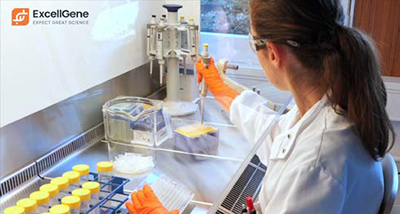 Label-free biosensor technology