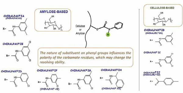 Chiral selectors present in amylose and cellulose