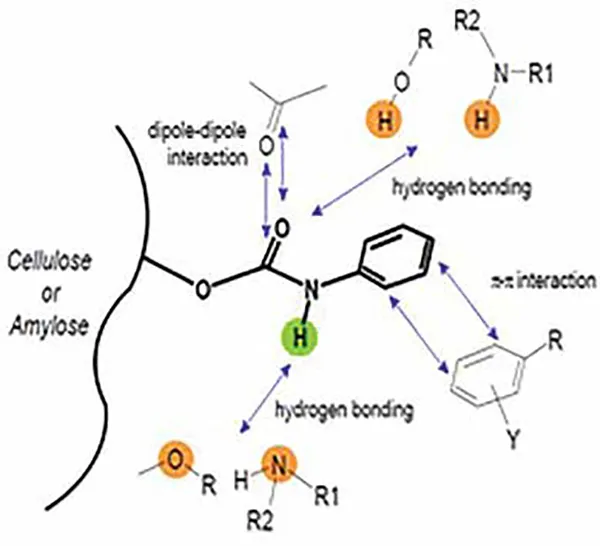 Chiral recognition mechanism