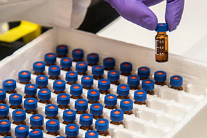 Regulatory and Compliance Trends