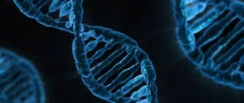 CRISPR
