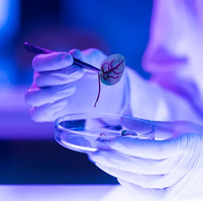 Driving Biotech Innovation