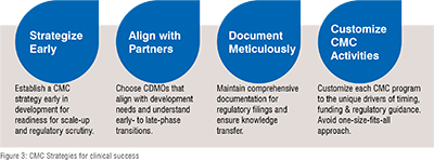 CMC Strategies for Clinical Success