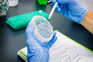 Precision therapies in medicine