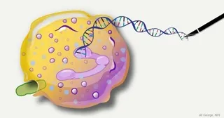 Gene Therapies