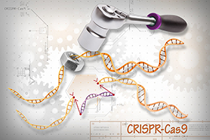 Genome-Editing Technologies for Gene and Cell Therapy