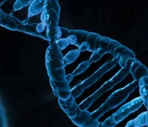 Human gene editing