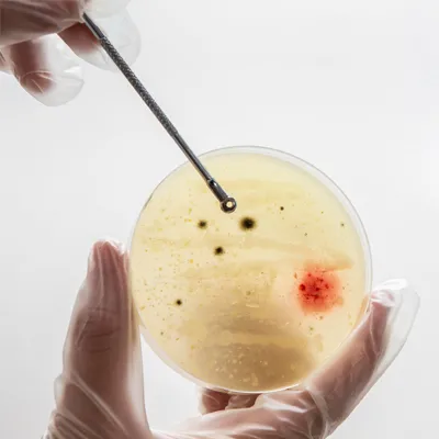 Bioburden testing methods