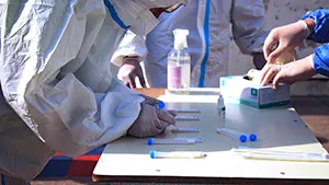 Proper Sample Labeling and Segregation