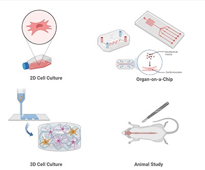 Animal model experiments with scientific equipment and monitoring devices
