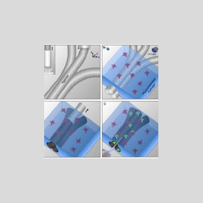 Close-up of a bioprinted tissue being formed layer by layer