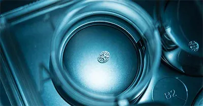 Diagram showing how hydrogels and microneedles work together for drug administration