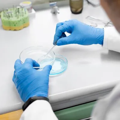 Illustration of bispecific antibody structure and purification process