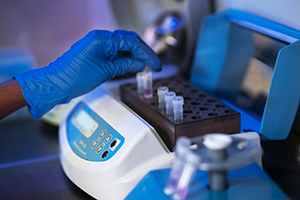 Multi-column chromatography setup for biopharmaceutical purification
