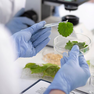 Green production in pharmaceutical supply chain