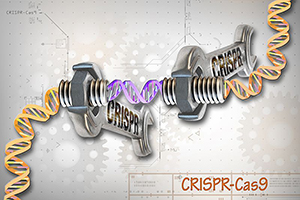 CRISPR for gene editing