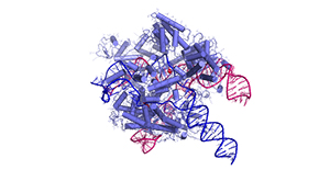 Emerging Technologies in Cell and Gene Therapy