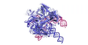 Emerging Technologies in Cell and Gene Therapy