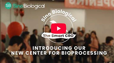Sino Biological US Inc. - Strategically Localised Manufacturing