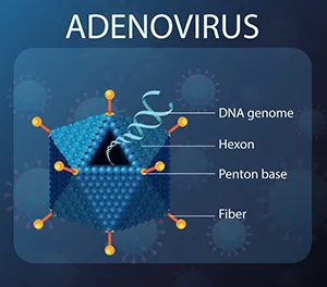 ADENOVIRUS