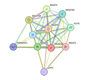 What Makes Biosimilars Safe and Effective?