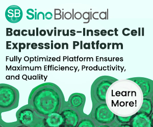 Sino Biological || Baculovirus - Insect Cell Expression Platform