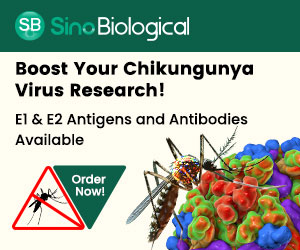 Sino Biological - Chikungunya Virus