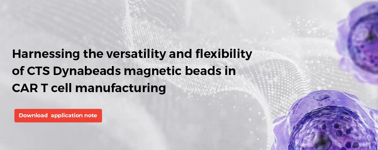 thermofisher-magnetic-beads-car-t-cell-manufacturing-app-note-banner