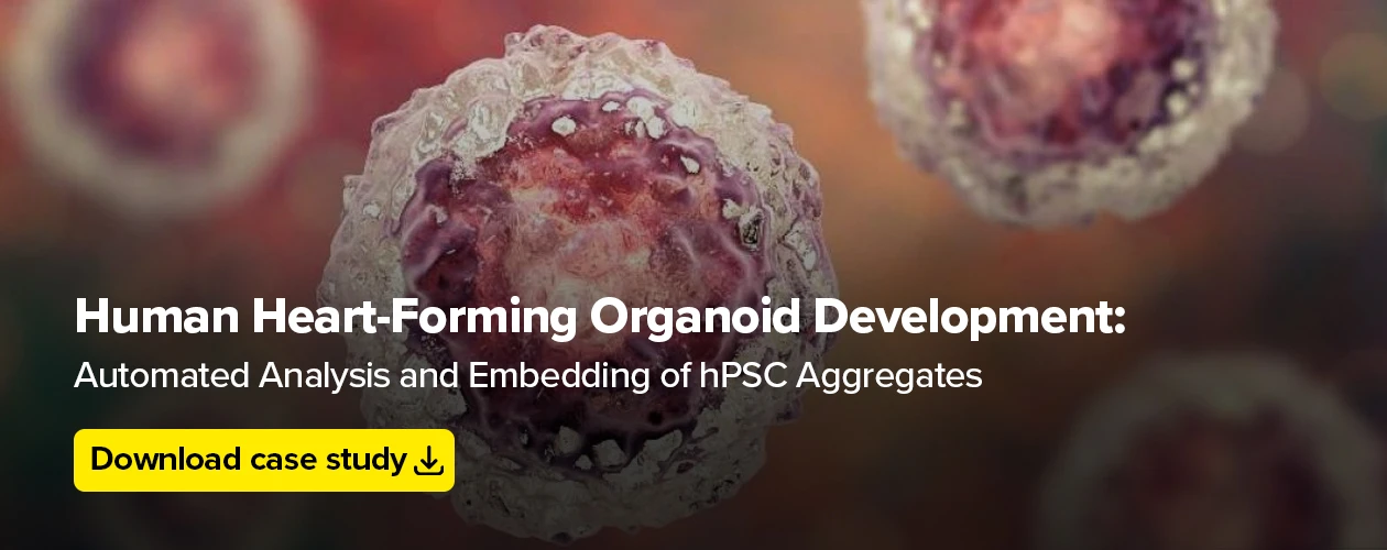 satorius-human-heart-forming-organoid-development