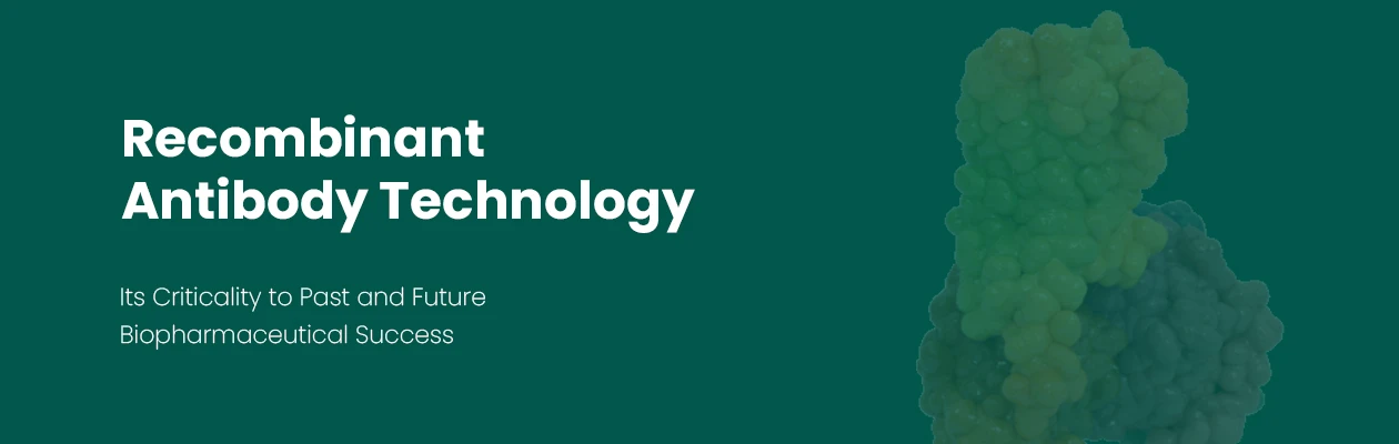 sinobiological-recombinant-antibody-technology