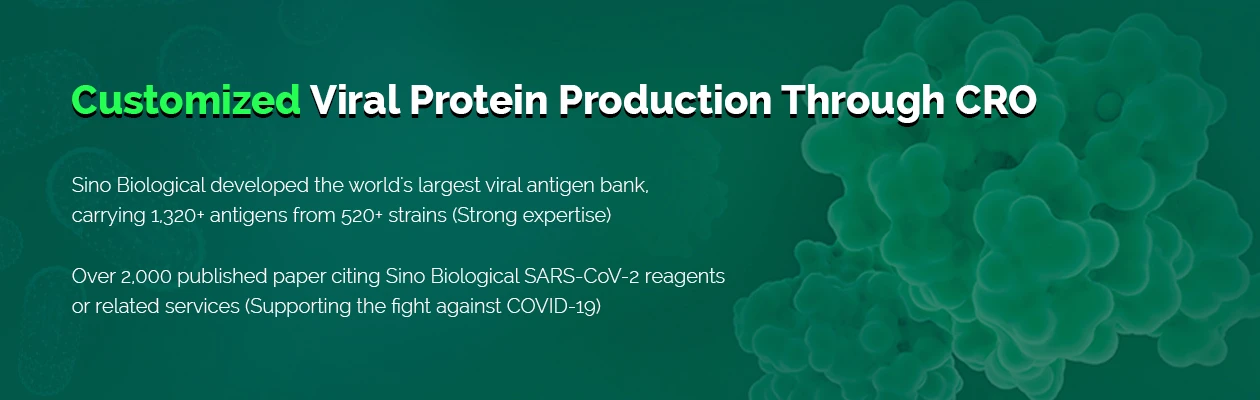 sinobiological-custom-services