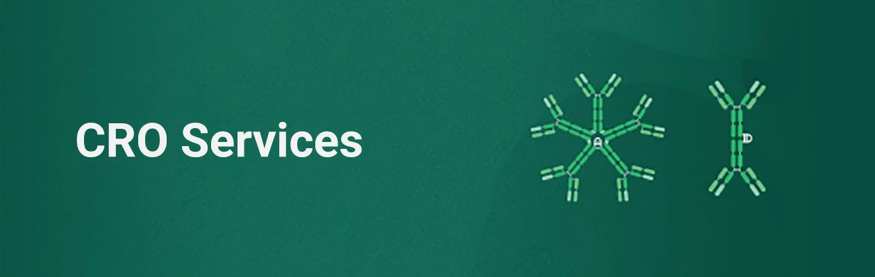 sino-biological-cro-services