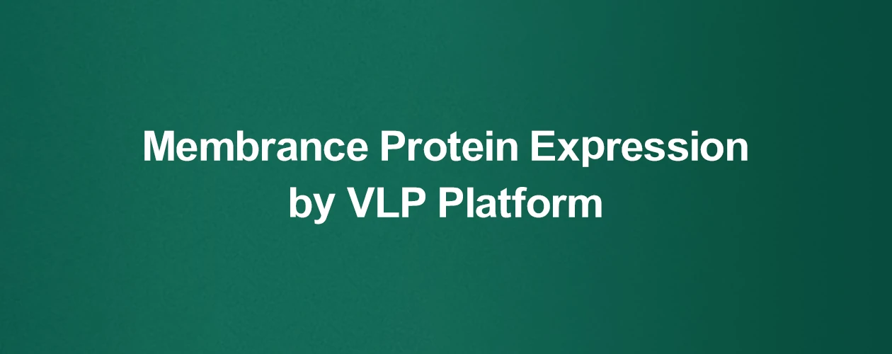 membrane-protein-expression-service